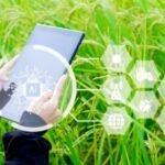 কৃষকদের জন্য বড় খবর: পশ্চিমবঙ্গে শুরু হলো ডিজিটাল শস্য জরিপ প্রকল্প 3 20260206 144619